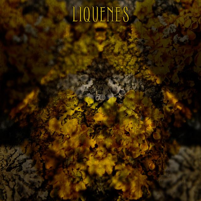 Bidinost - 'Líquenes (feat. Leito Chaz)' [Ringtone]