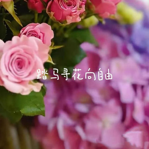 bo一霖 - '踏马寻花向自由' [Ringtone]