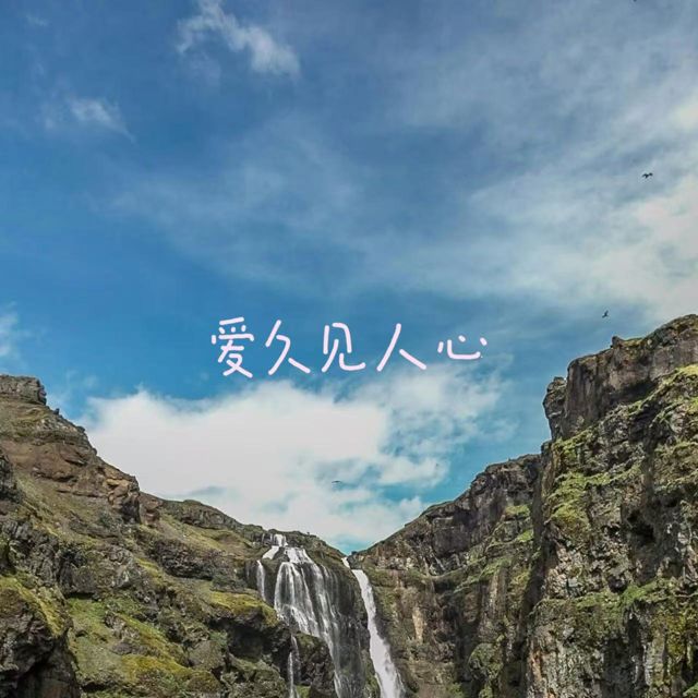 bo一霖 - '爱久见人心' [Ringtone]