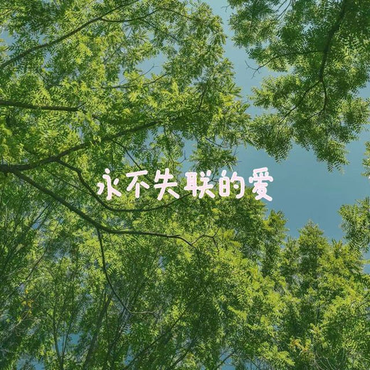 bo一霖 - '永不失联的爱' [Ringtone]
