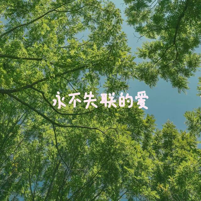 bo一霖 - '永不失联的爱' [Ringtone]