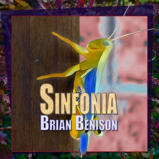 Brian Benison - 'Sinfonia' [Ringtone]