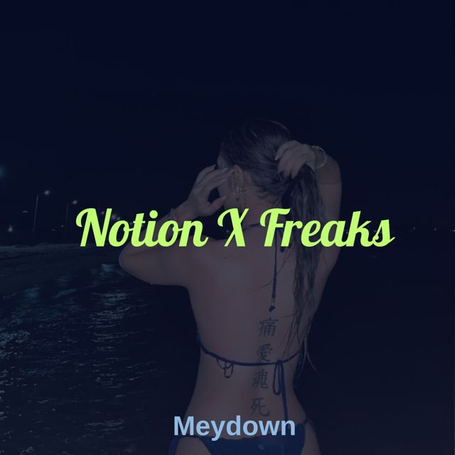 Meydown - 'Freaks (Slowed&Echo Reverb)' [Ringtone]