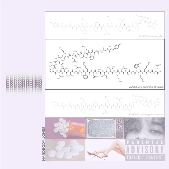 Hardbody Jones - 'ENDORPHINS' [Ringtone]
