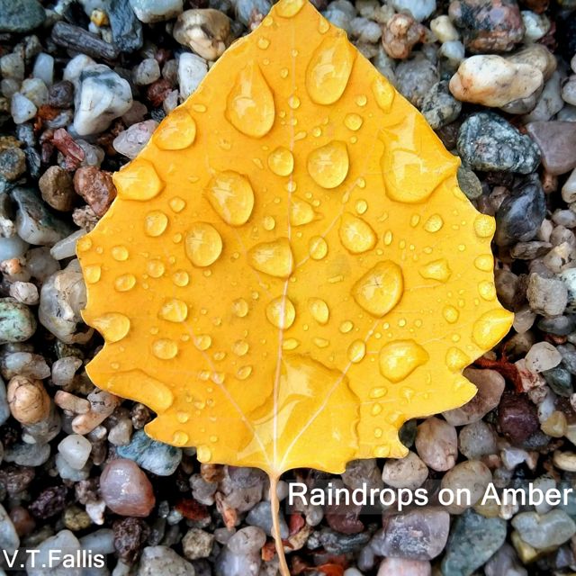 V.T.Fallis - 'Stones Holding Back Autumn' [Ringtone]