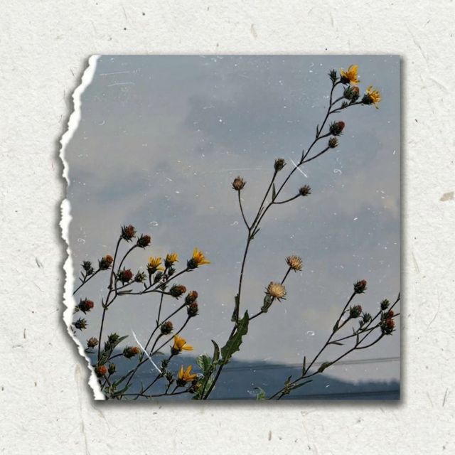 Alex Ruiz - 'Bien' [Ringtone]