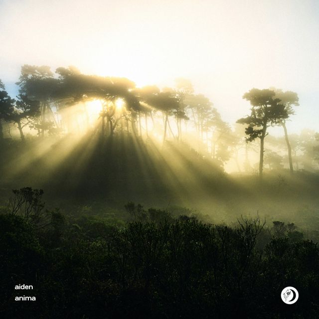 aiden - 'Anima' [Ringtone]