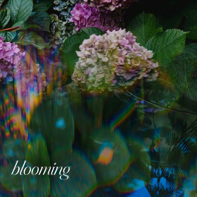 Temporal - 'lilac' [Ringtone]