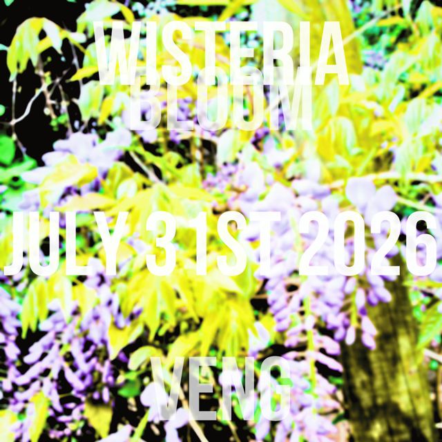 happyveng - 'Wisteria' [Ringtone]