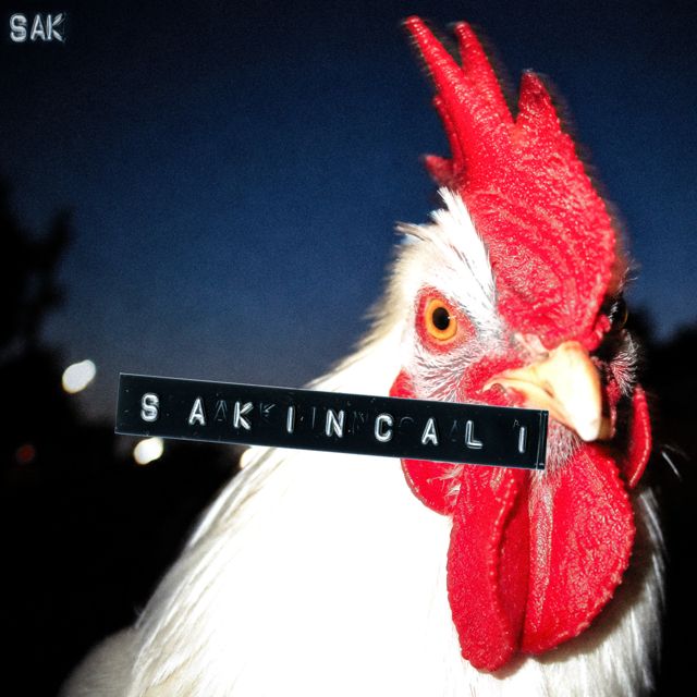 Suat Armağan Koçak - 'Sakıncalı' [Ringtone]