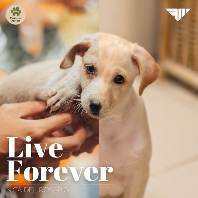 Nica del Rosario - 'Live Forever' [Ringtone]