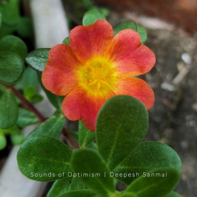 Sounds of Optimism - 'Clover (feat. Deepesh Sanmal)' [Ringtone]