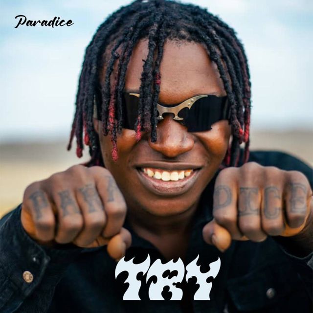 Paraa Dice - 'Try' [Ringtone]