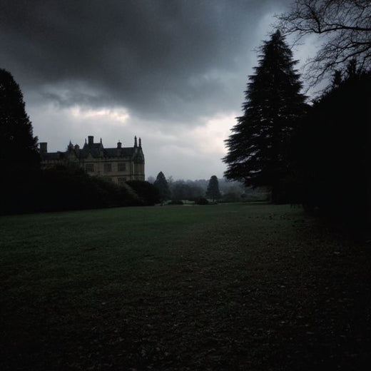 Viktor Nyström - 'the hallways are empty now' [Ringtone]