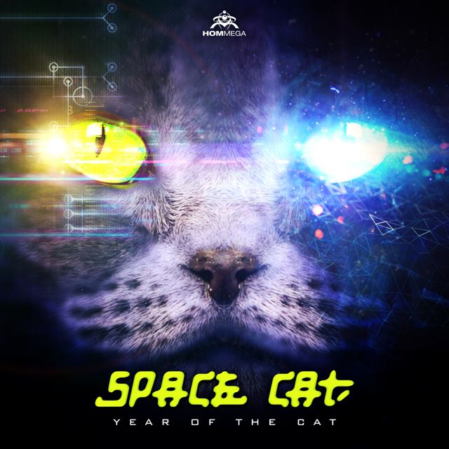 Space Cat - 'Loops of Insanity (Original Mix)' [Ringtone]