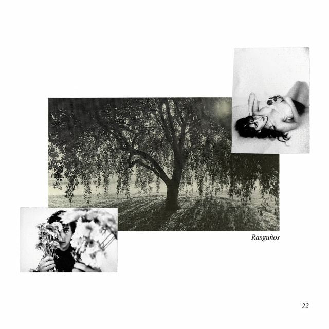 Diego Andlovin - 'rasguños (feat. Sania Necoechea)' [Ringtone]