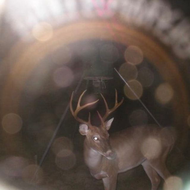 Derby - 'Move Like That' [Ringtone]