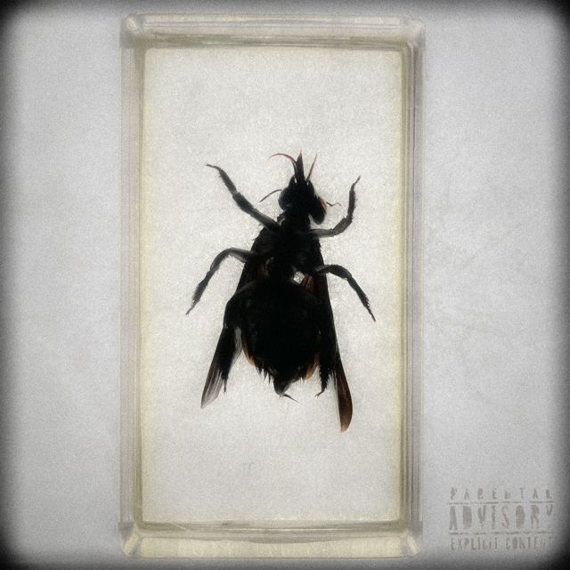 Glenn - 'Lagrimas' [Ringtone]