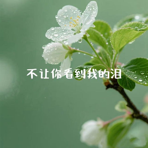 白兰滴 - '不让你看到我的泪' [Ringtone]