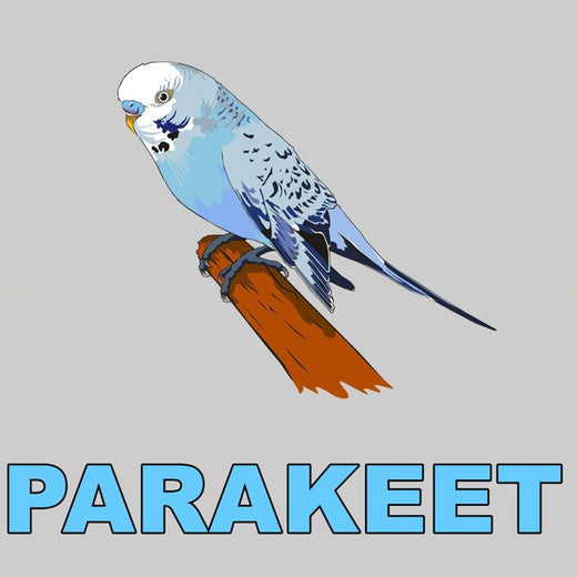 Animal Sounds - 'Parakeet (Bird Chirp)' [Ringtone]