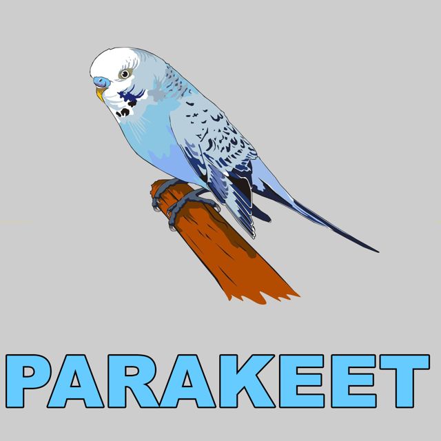 Animal Sounds - 'Parakeet (Bird Chirp)' [Ringtone]