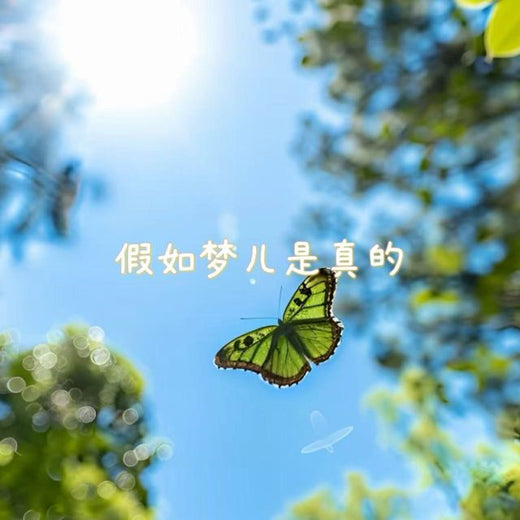 白兰滴 - '假如梦儿是真的' [Ringtone]