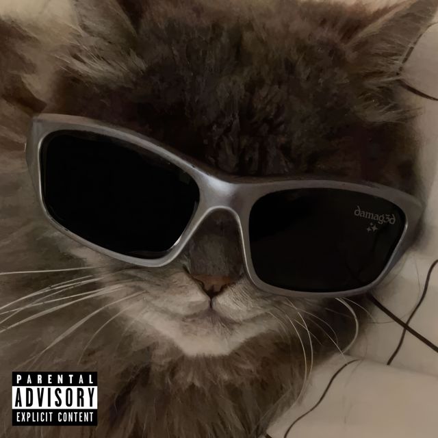 Whoishellcat - 'backdoor' [Ringtone]
