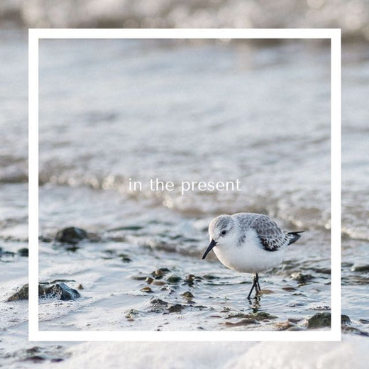 Let It Bloom - 'En El Presente' [Tono de llamada]
