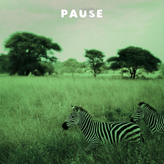 Doself - 'Pause' [Ringtone]
