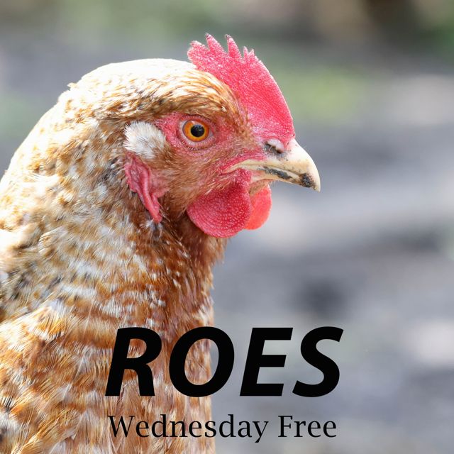 ROES - 'Wednesday Free' [Ringtone]