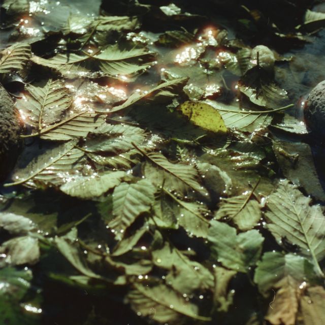 Porch Kiss - 'rose valley' [Ringtone]