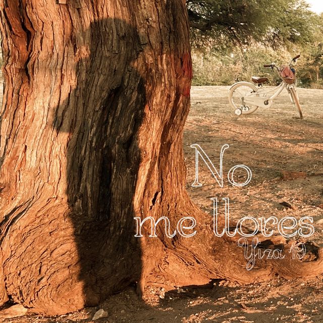 Yiza 19 - 'No me Llores' [Ringtone]