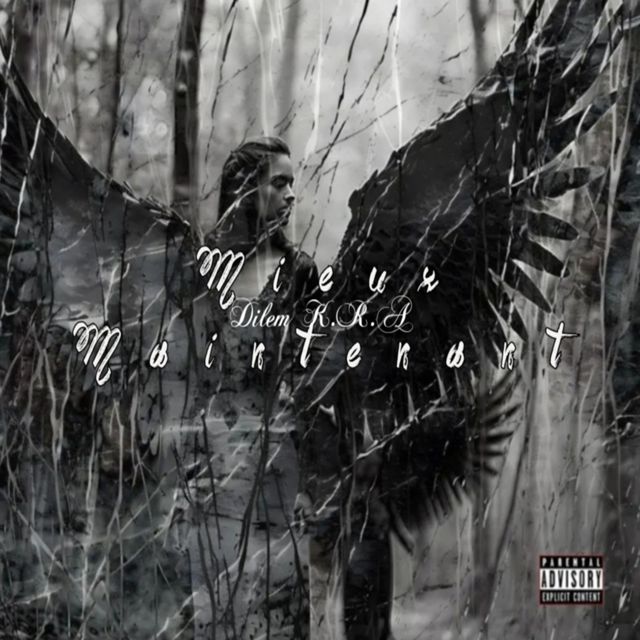 Dilem K.R.A - 'Mieux Maintenant' [Ringtone]