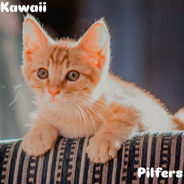 Pilfers - 'Kawaii' [Ringtone]