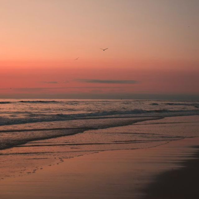 Calebrs - 'golden hour' [Ringtone]
