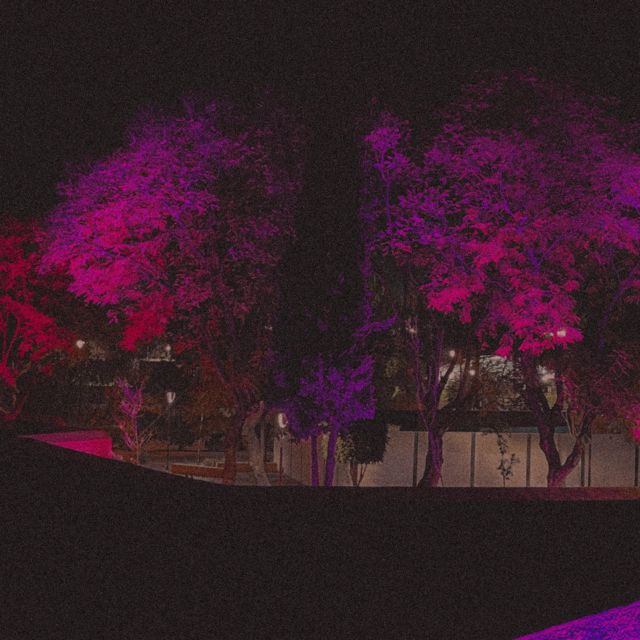 CALLE - 'OG' [Ringtone]