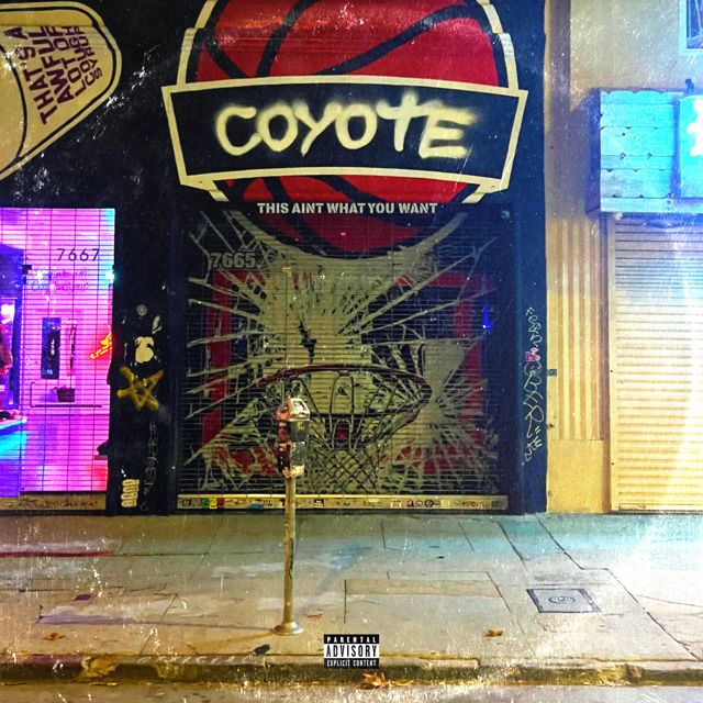 Coyote - 'This Aint What You Want' [Ringtone]