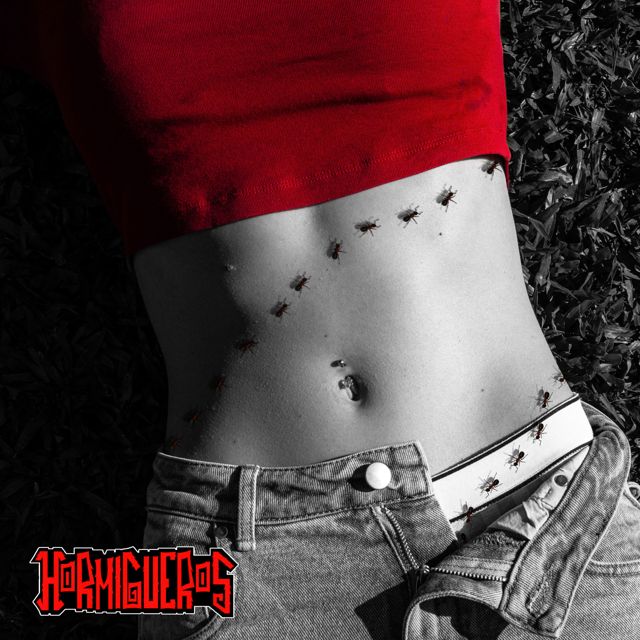 Hormigueros - 'Paso a Buscarte' [Ringtone]