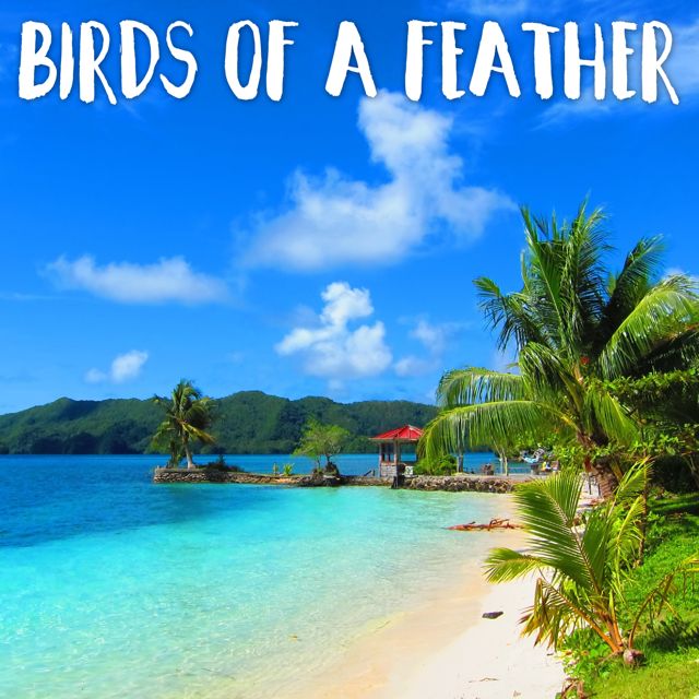 Tropical Jawns - 'Birds Of A Feather (Marimba Version)' [Ringtone]