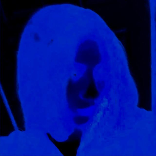 Alexa Vante - 'Blue Light Screen' [Ringtone]