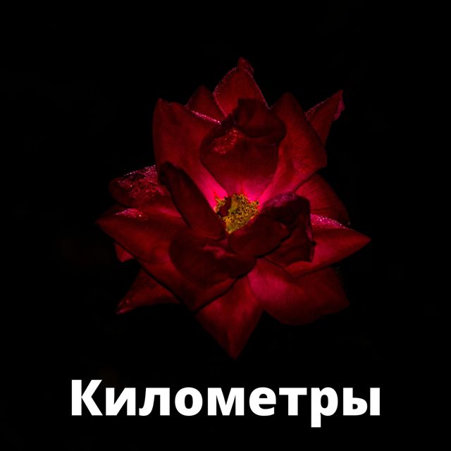 Juan Jose Raiz - 'Километры (2021)' [Ringtone]