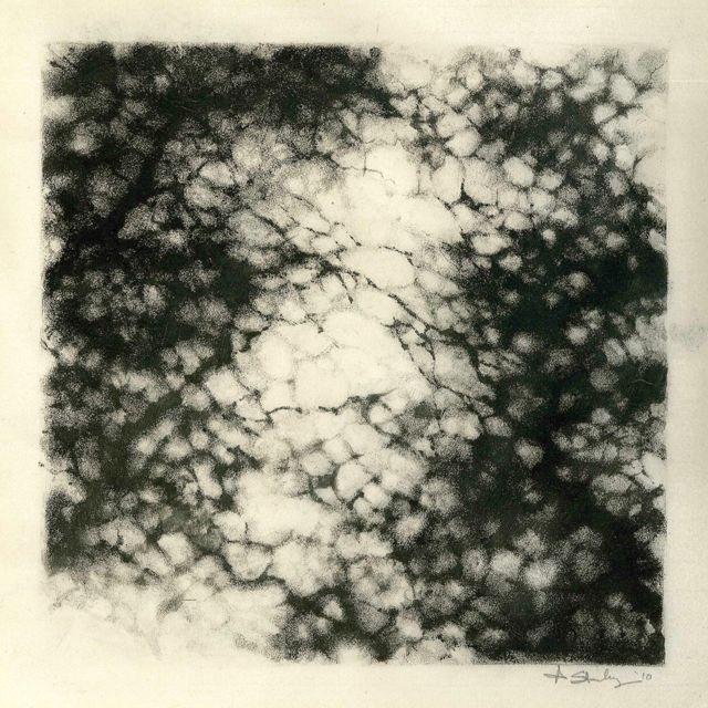 Thibaud François - 'I'm not [ ]' [Ringtone]