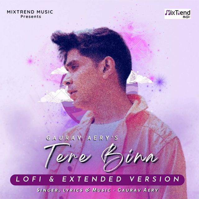 Gaurav Aery - 'Tere Bina (LOFI & Extended Version)' [Ringtone]