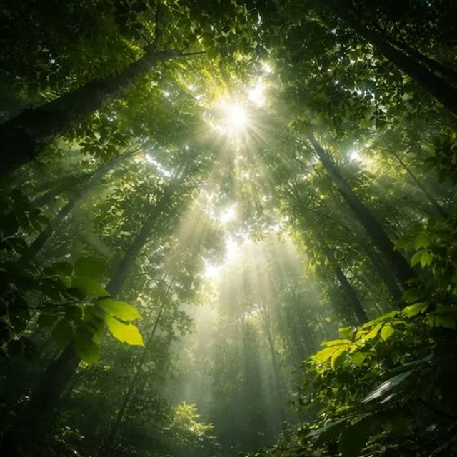 KiwiXP - 'Under Canopy' [Ringtone]