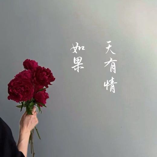 梨子芹菜 - '如果天有情' [Ringtone]