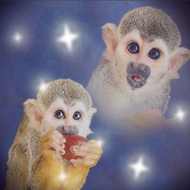 Charlie Cuttell - 'Retrospect (feat. Retro Monkey)' [Ringtone]
