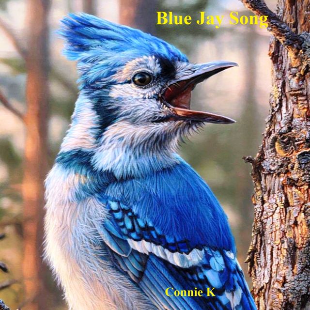 Connie K - 'Blue Jay Song' [Ringtone]