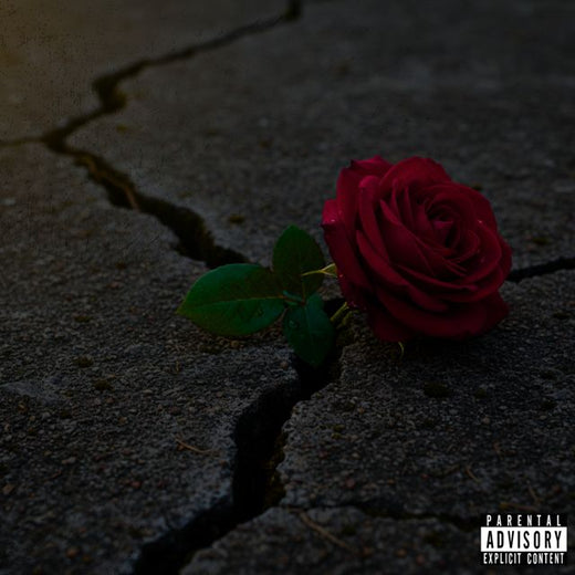 VLTHEVULTURE - 'CONCRETE ROSE' [Ringtone]