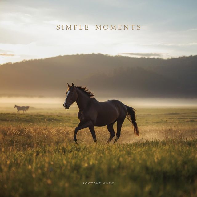 Lowtone Music - 'Simple Moments' [Ringtone]