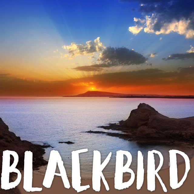 Tropical Jawns - 'Blackbird (2024 Marimba Version)' [Ringtone]